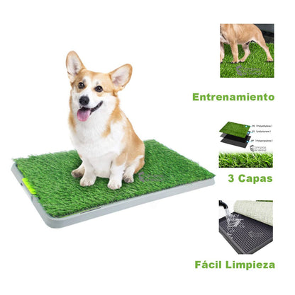 🐾 OASIS DEL PERRITO 🐾 - Estera de higiene para mascotas