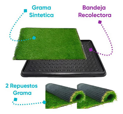 🐾 OASIS DEL PERRITO 🐾 - Estera de higiene para mascotas