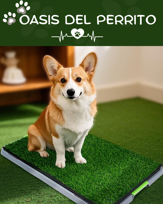 🐾 OASIS DEL PERRITO 🐾 - Estera de higiene para mascotas
